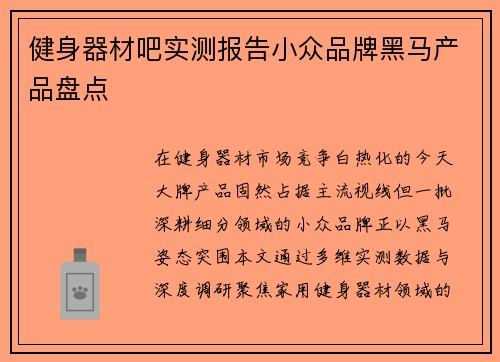 健身器材吧实测报告小众品牌黑马产品盘点