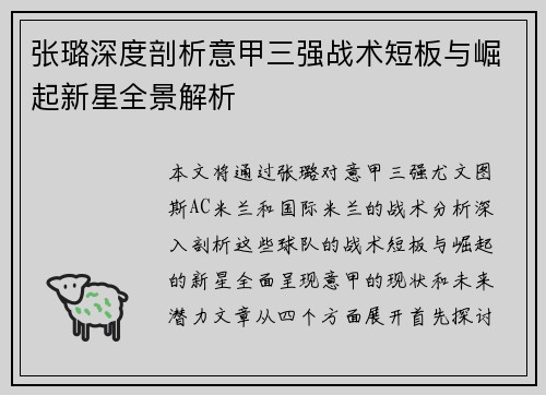 张璐深度剖析意甲三强战术短板与崛起新星全景解析