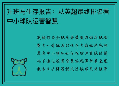 升班马生存报告：从英超最终排名看中小球队运营智慧